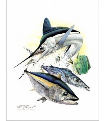 "White Marlin Open" Sponsor Art